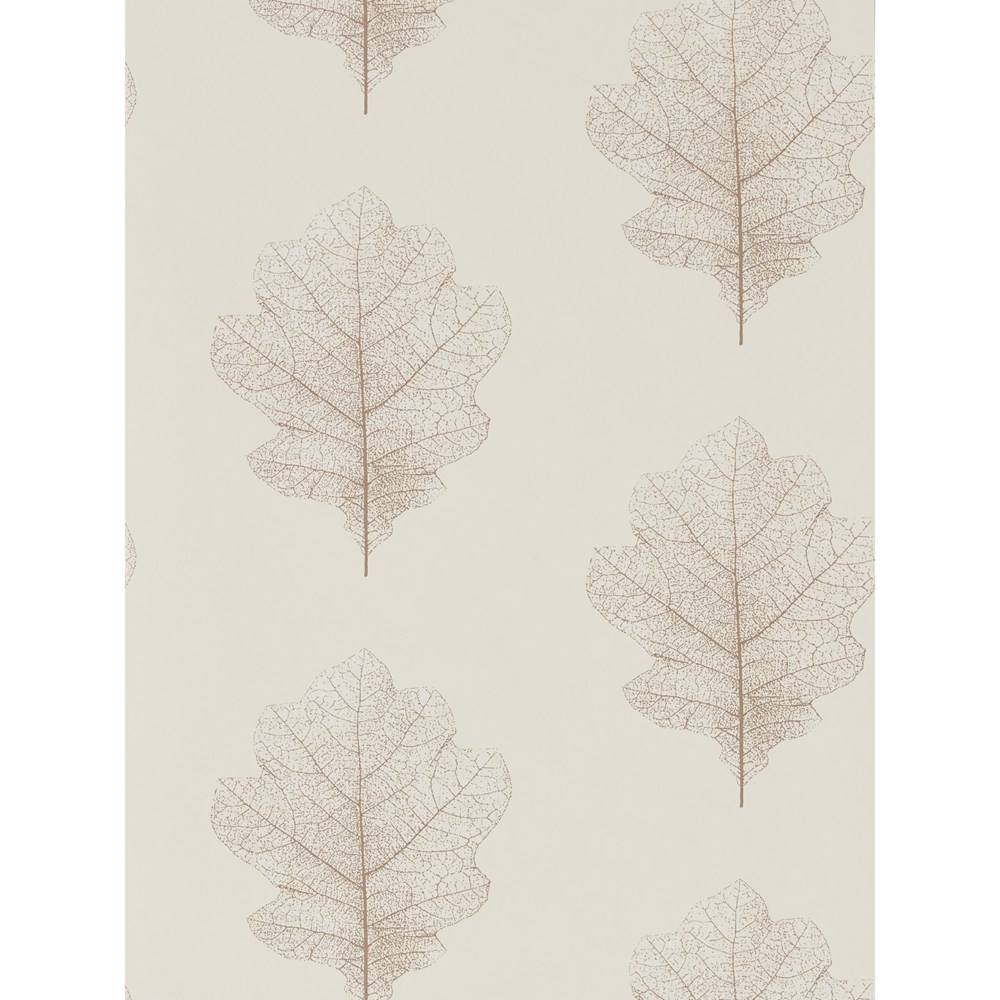 Oak Filigree Wallpaper 215699 by Sanderson in Milk Pearl